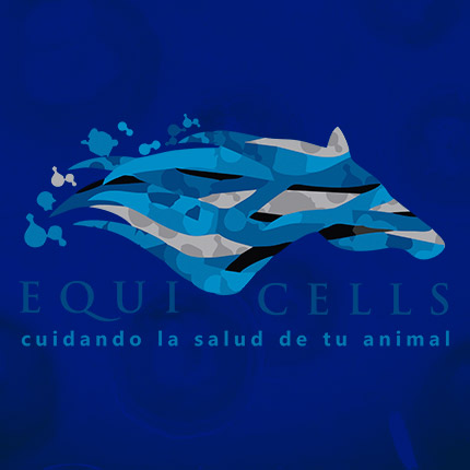 Equicells
